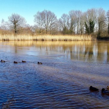 Wandelen in de Boekelse natuur