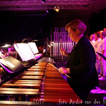 Muzikale herinnering van: Neeltje van de Elzen