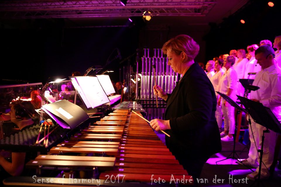 Muzikale herinnering van: Neeltje van de Elzen