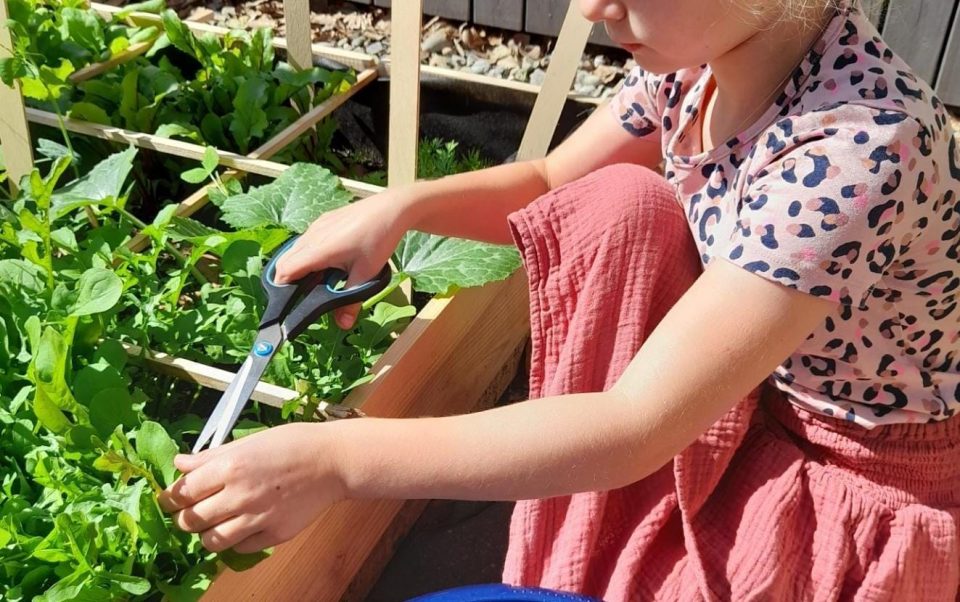 Smullen uit de moestuin