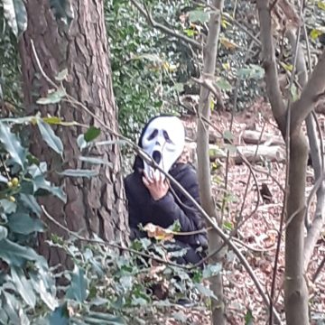 Halloween op OBS Uilenspiegel