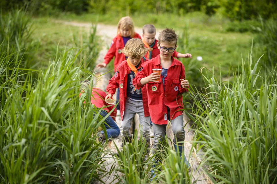 Nieuw: bevergroep op zaterdagmiddag!