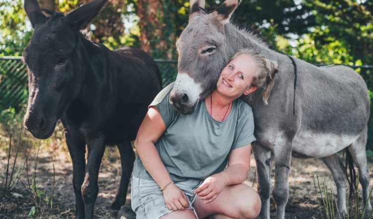 Dierenopvang Stichting Anniemals in Boekel zoekt een vrijwilliger (klusjesman of -vrouw)