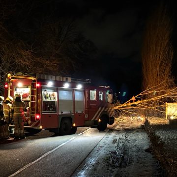 Storm trekt boom uit de grond: brandweer schiet te hulp