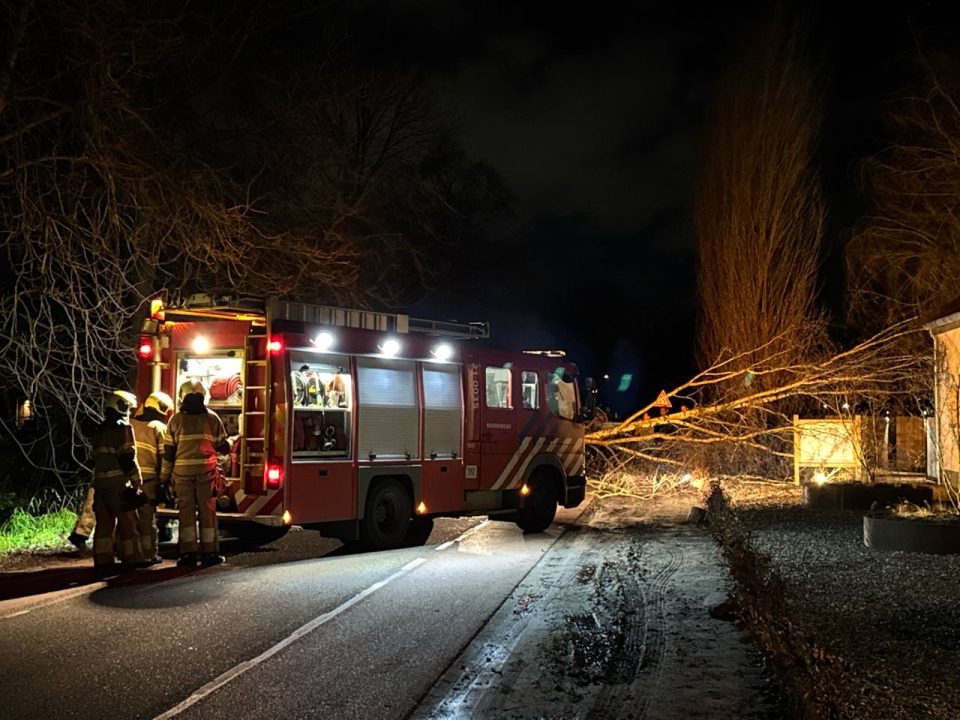 Storm trekt boom uit de grond: brandweer schiet te hulp